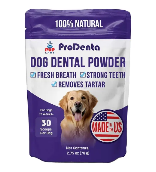ProDenta Dental Powder